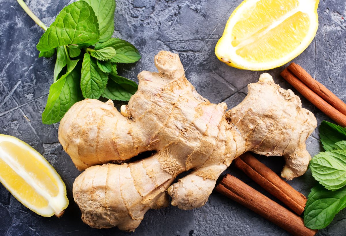 is-ginger-good-for-fatty-liver-nafld-full-answer-here